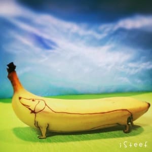 Artwork Title: Dachshund Banana