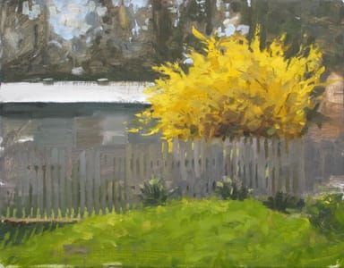 Artwork Title: Back Yard Yellow Bush