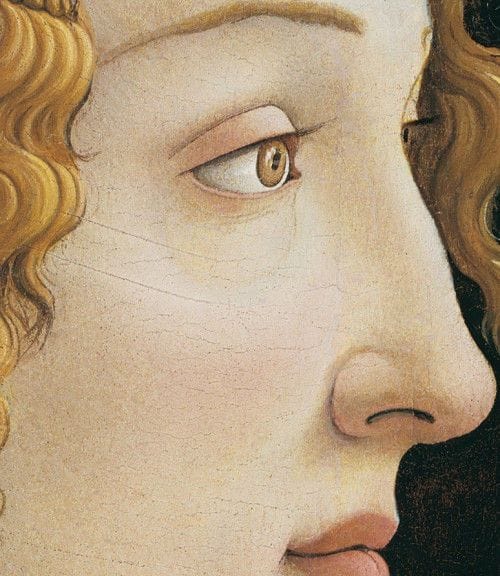 Artwork Title: Idealized Portrait of a Lady (Portrait of Simonetta Vespucci as Nymph)