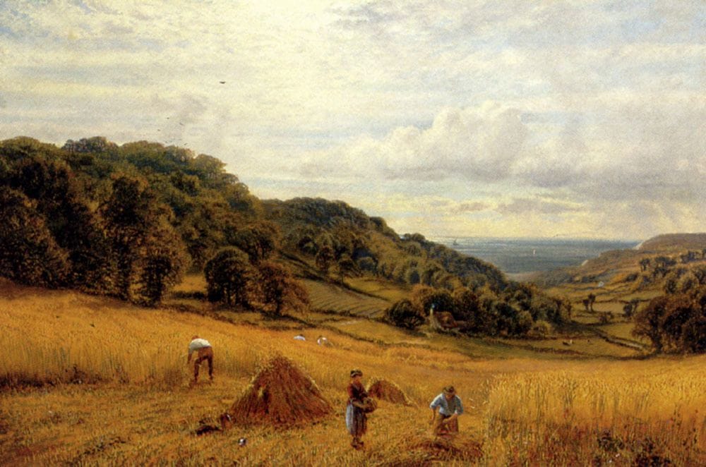 Artwork Title: Harvesting at Luccombe Isle of Wight