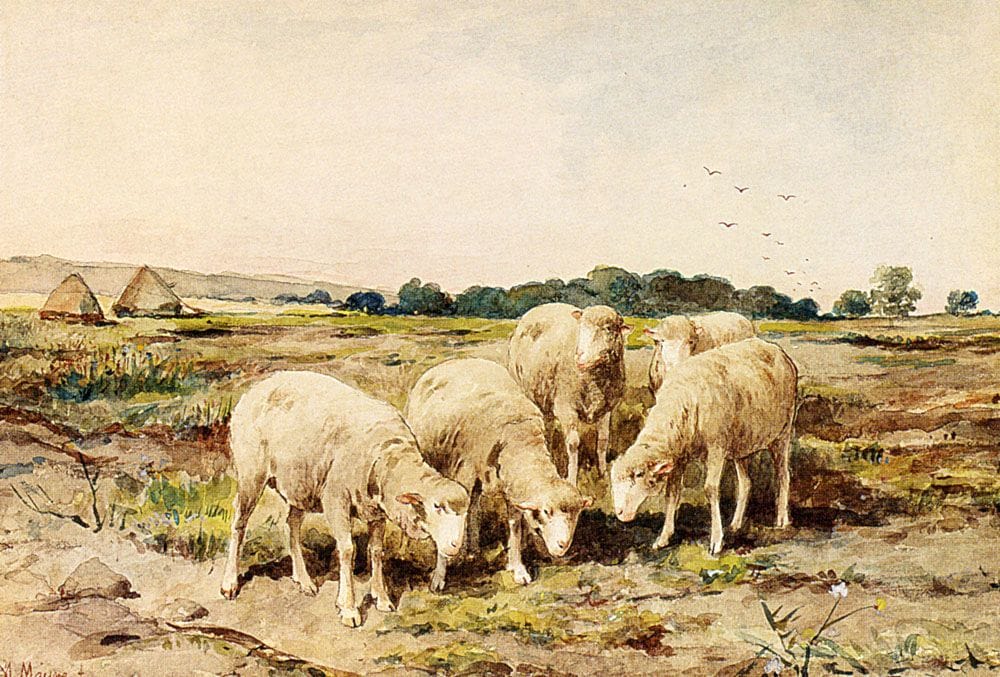 Artwork Title: Grazing Sheep