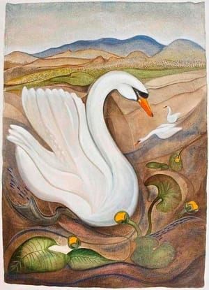 Artwork Title: The Irish Swan