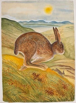 Artwork Title: The Irish Hare