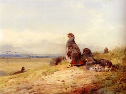 Artwork Title: Red Partridges