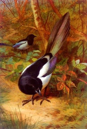 Artwork Title: Magpies