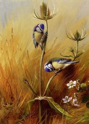 Artwork Title: Bluetits on a Teasel