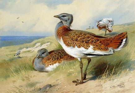 Artwork Title: Great Bustards