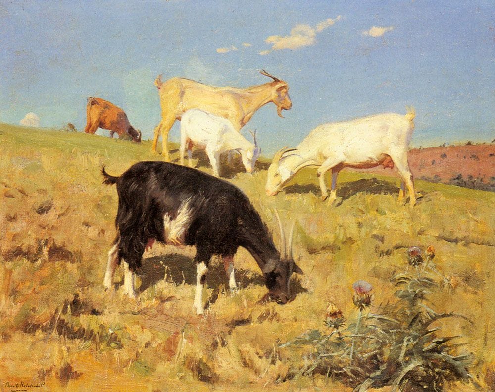 Artwork Title: Goats Grazing On A Hillside