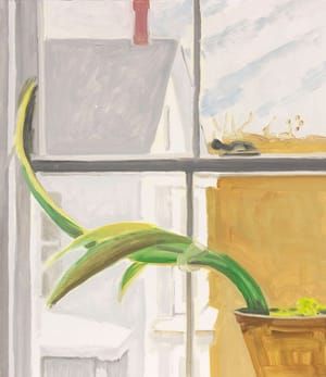 Artwork Title: Window with Amaryllis Plant