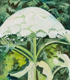 Artwork Title: Cow Parsnip in Early Stage of Bloom