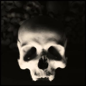 Artwork Title: Skull 12