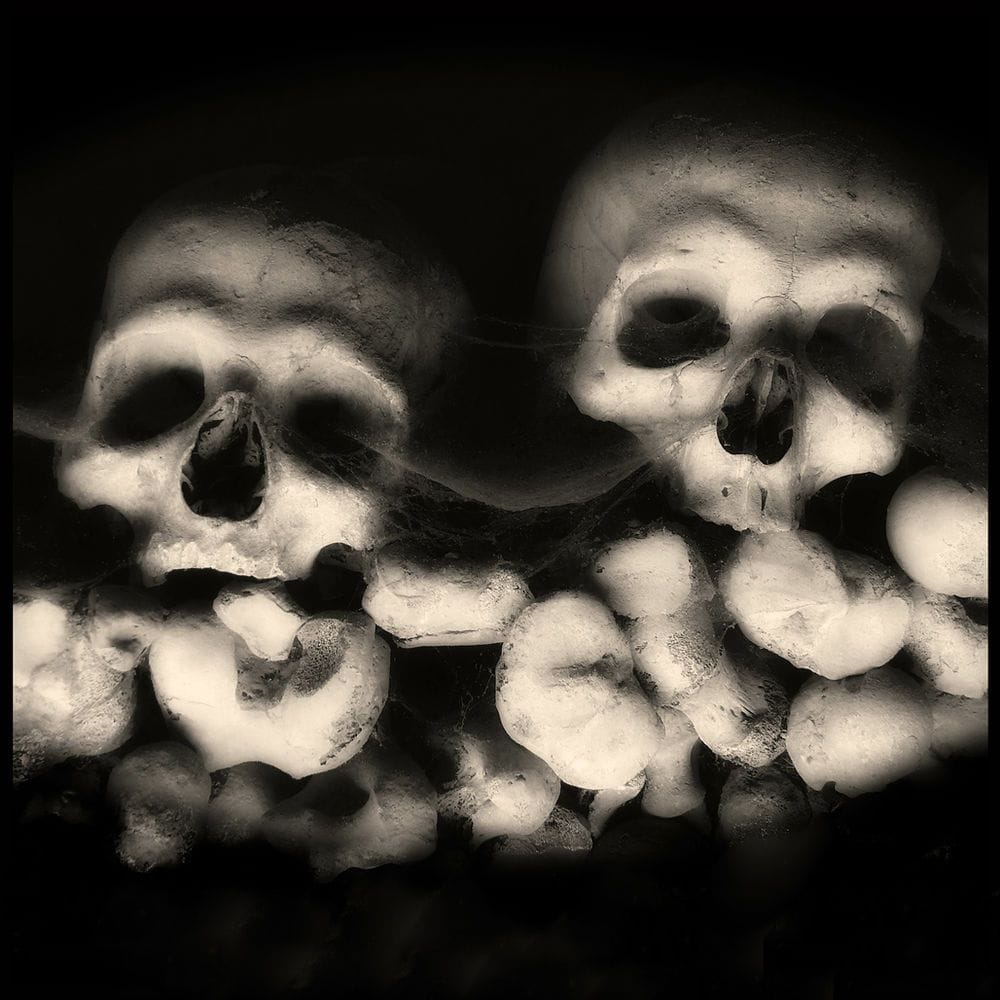 Artwork Title: Skull 10