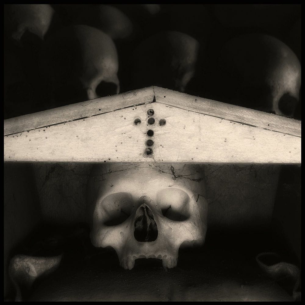 Artwork Title: Skull 6