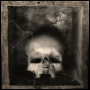 Artwork Title: Skull 1