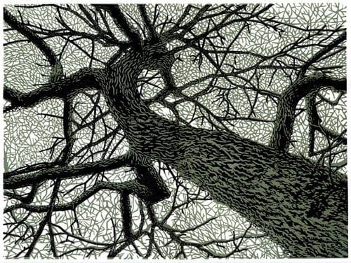 Artwork Title: Winter Branches