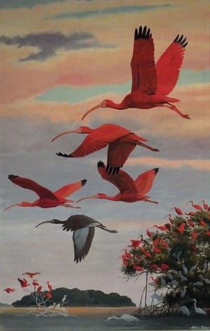 Artwork Title: Flying Scarlet Ibises