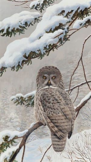 Artwork Title: Great Gray Owl
