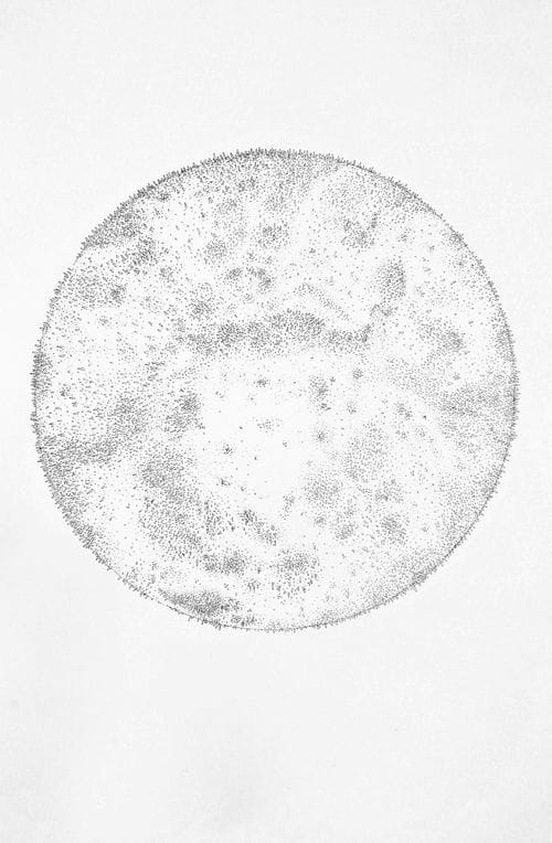 Artwork Title: Vulnerability (Humble)