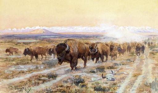 Artwork Title: The Bison Trail