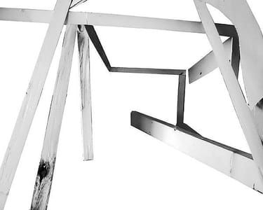 Artwork Title: On Form and Growth