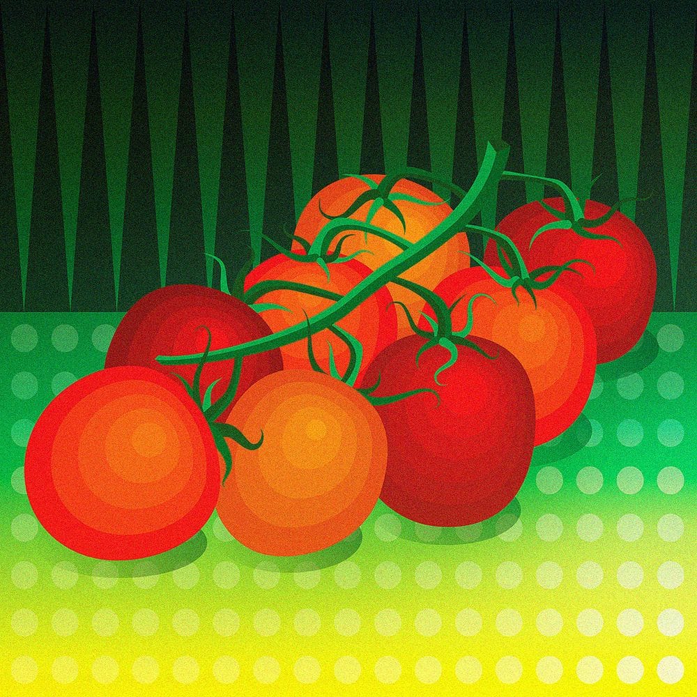 Artwork Title: BIODYNAMIC: Tomatoes
