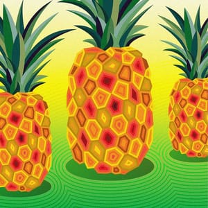 Artwork Title: BIODYNAMIC: Pineapple