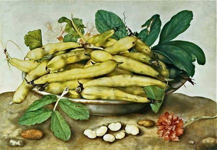 Artwork Title: A Bowl of Broad Beans