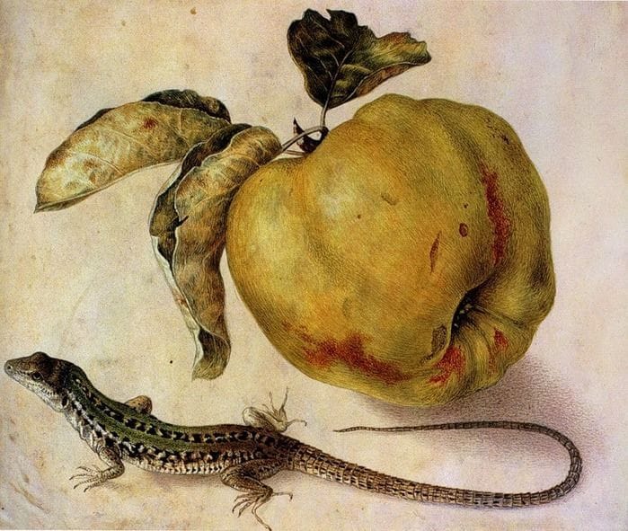 Artwork Title: Still Life with Apple and Lizard