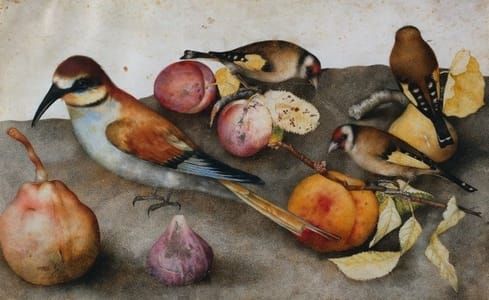 Artwork Title: Still Life with Birds and Fruit
