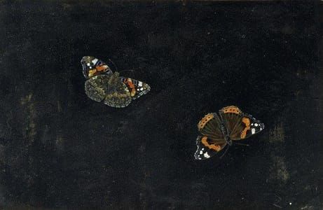 Artwork Title: Two Butterflies