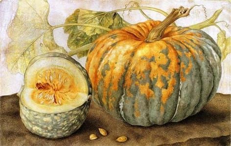 Artwork Title: Pumpkin