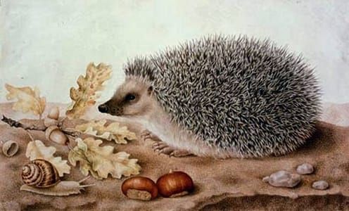 Artwork Title: Hedgehog in a Landscape