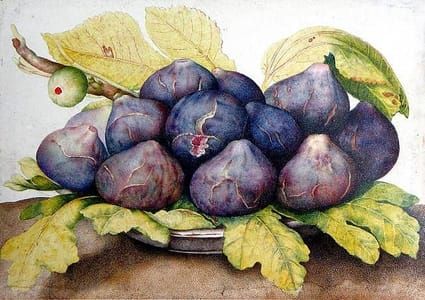 Artwork Title: Plate of Figs, 1661