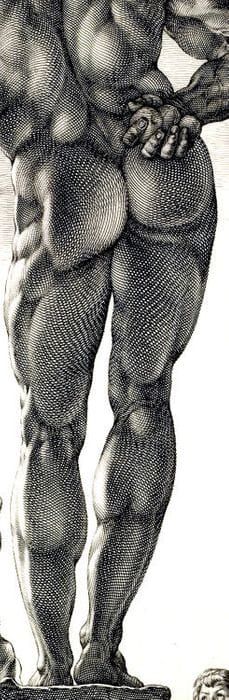 Artwork Title: Farnese Hercules