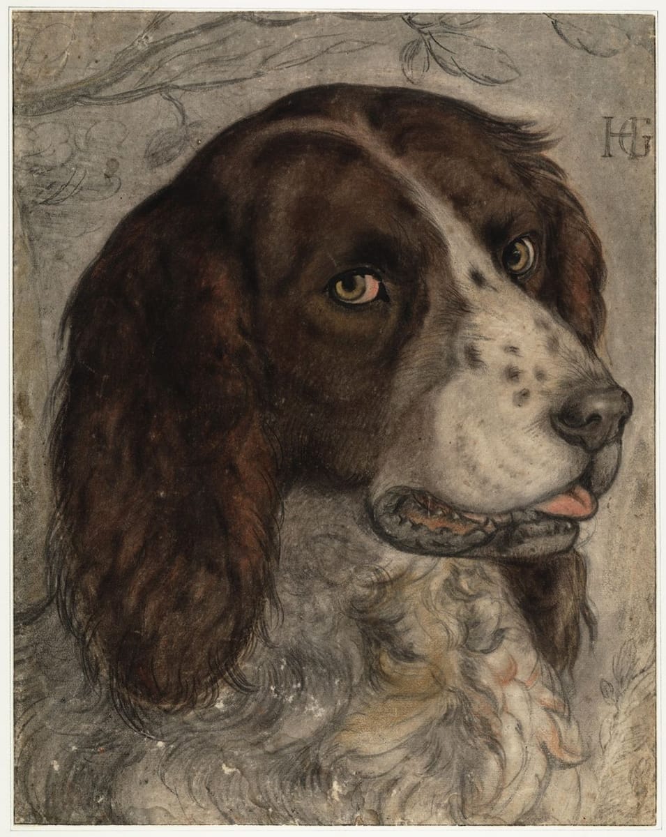 Artwork Title: Goltzius' Dog 1595-1597
