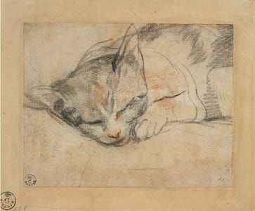 Artwork Title: Study for a Cat,  16th century