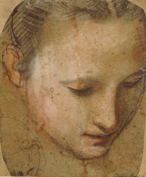 Artwork Title: Study of the Virgin’s Head for the Madonna del Gatto