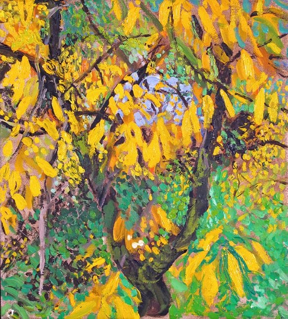 Artwork Title: Cherry Tree in Autumn