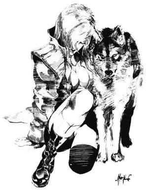 Artwork Title: Sniper Wolf