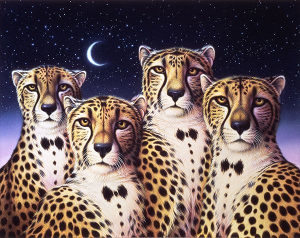 Artwork Title: Cheetahs