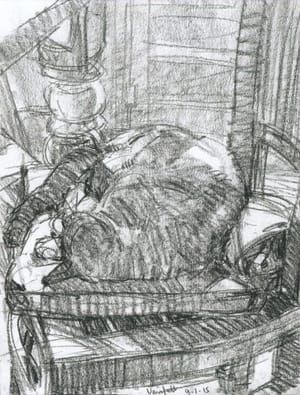 Artwork Title: Slapende kat op stoel (Sleeping Cat on a Chair)