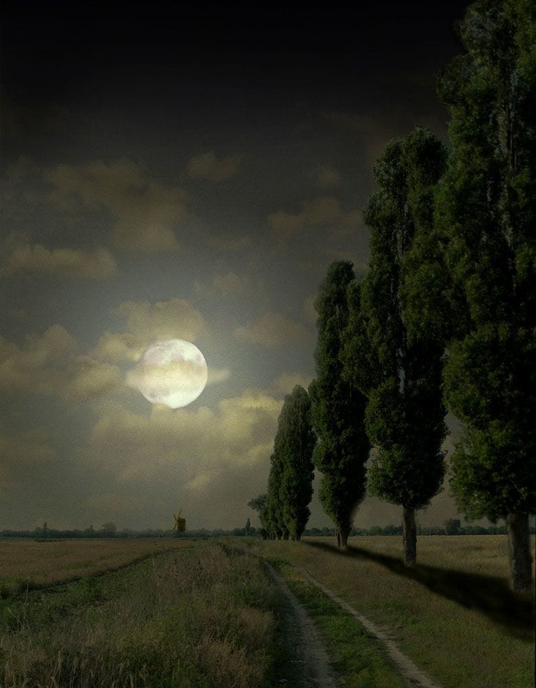 Artwork Title: Moon Night