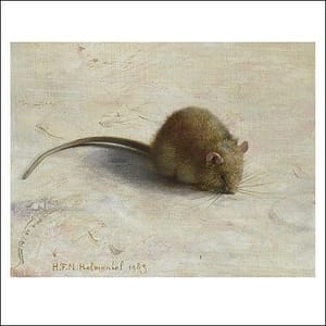 Artwork Title: Muisje (Mouse)