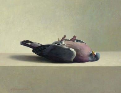 Artwork Title: The Pigeon