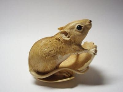 Artwork Title: Mouse in Shell