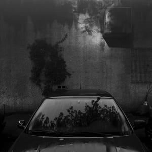 Artwork Title: Untitled