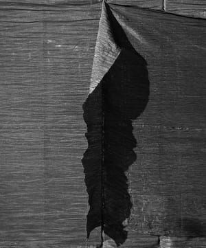 Artwork Title: Untitled