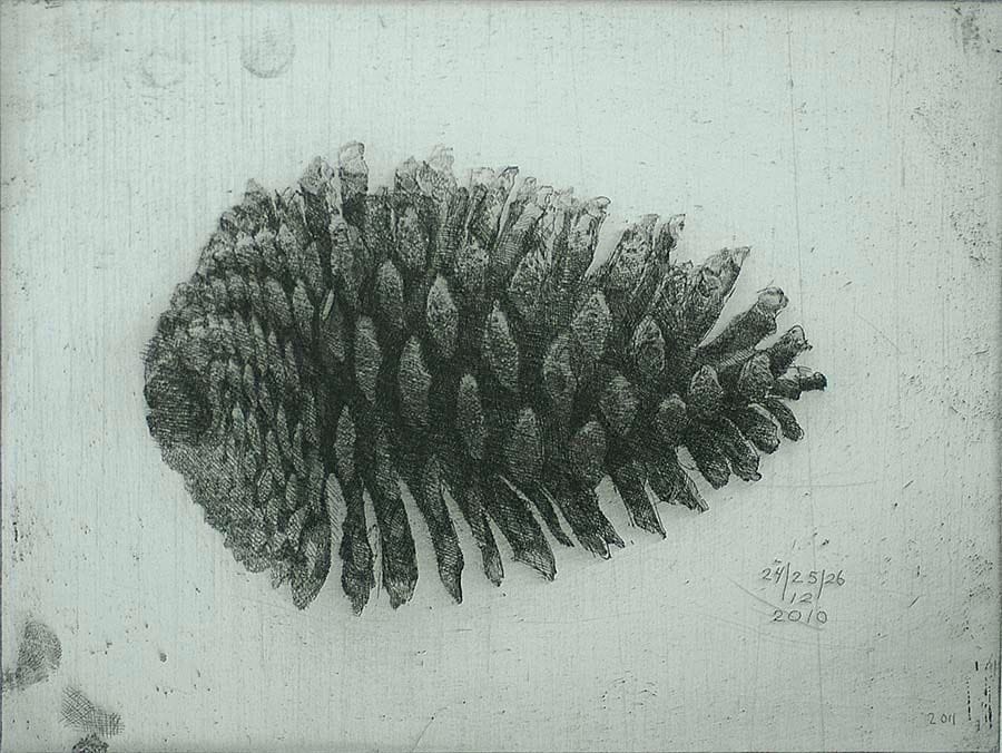 Artwork Title: Large Pinecone III (Grote Dennenappel III), 201-