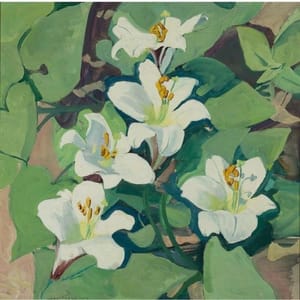 Artwork Title: Easter Lilies