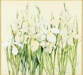 Artwork Title: Irises